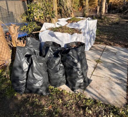 Bagged garden waste prepared for collection by DJS Moves
