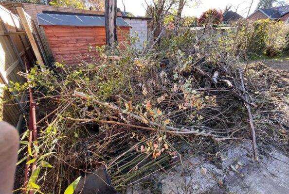 Branches and garden waste awaiting clearance by DJS Moves